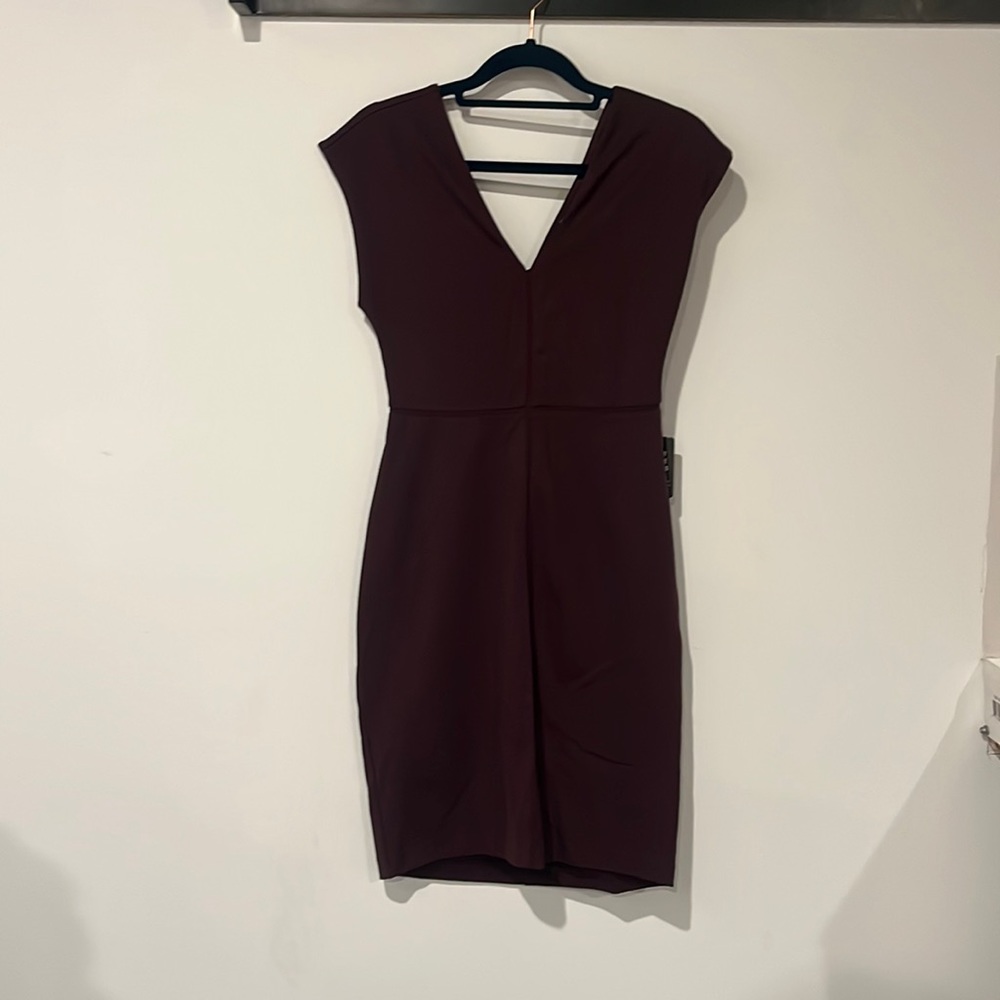 Express Burgundy Dress